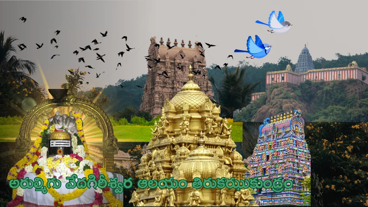Arulmigu Vedagiriswarar Temple Thirukazhukundram Timings
